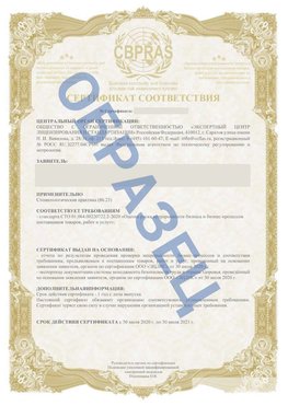 Образец Сертификат СТО 01.064.00220722.2-2020 Горнозаводск Сертификат СТО 01.064.00220722.2-2020 